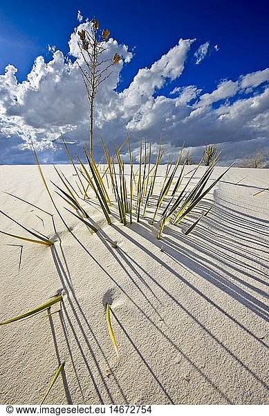 geography / travel  USA  New Mexico  Alamogordo White Sands National Monument