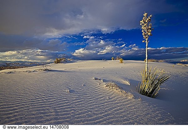 geography / travel  USA  New Mexico  Alamogordo White Sands National Monument