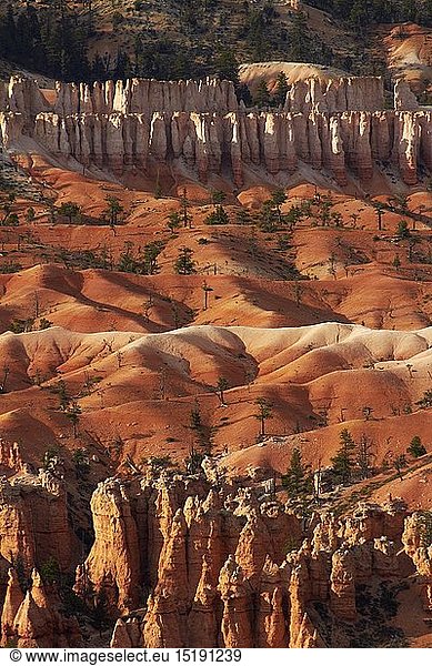 geography / travel  USA  Utah  Bryce Canyon National Park  natural  rock  formation  erosion  eroded  hoodoos