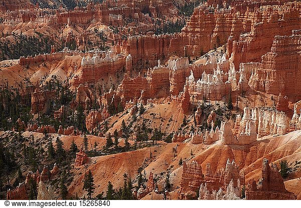 geography / travel  USA  Utah  Bryce Canyon National Park  natural  rock  formation  erosion  eroded  hoodoos  Bryce Amphitheater