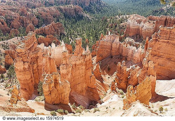 Geologie  Erosionslandschaft  Abbruchkante des Paunsaugunt-Plateau  leuchtend rote Felspyramiden aus Sandstein  Hoodoos  Thors Hammer  Bryce-Canyon-Nationalpark  Utah  USA  Nordamerika