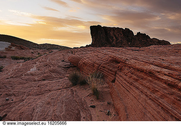 Geologie in der Nähe der Feuerwelle  Valley of Fire State Park  Nevada  USA
