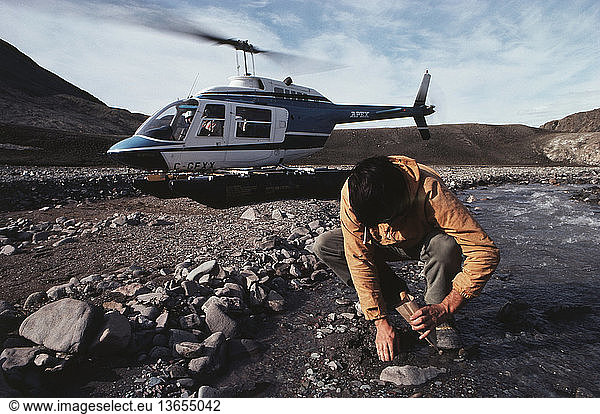 Geologist collecting samples of rocks on Ellesmere Island  Canada.