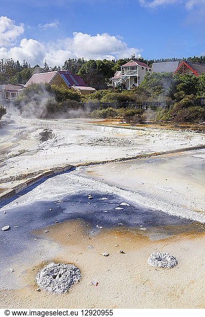 Geothermal Terraces with mineral deposit run off  Whakarewarewa thermal village  Rotorua  North Island  New Zealand  Pacific