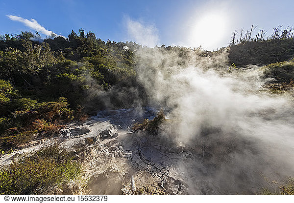 Geothermischer Park Orakei Korako  Vulkanische Zone Taupo  Nordinsel  Neuseeland