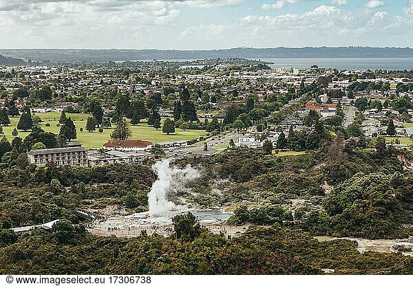 Geothermisches Gebiet  Redwoods Forest  Whakarewarewa  Rotorua  Nordinsel  Neuseeland  Ozeanien