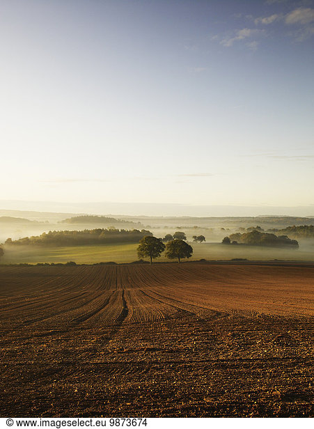 Gepflügtes Feld über Hügel aufwärts Dunst Morgendämmerung Wellenmuster Feld Ansicht umgeben Landschaft