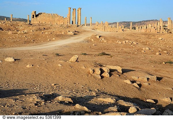 Gerasa  Jerash  Ruine  UNESCO-Welterbe  antik  Jahrhundert