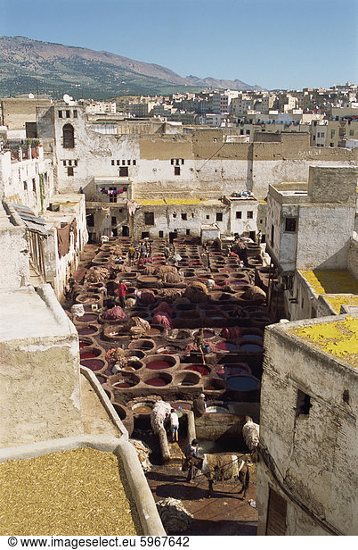 Gerbereien  Fez  Marokko  Nordafrika  Afrika