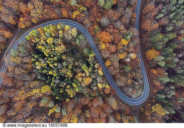 Germany, Bavaria, Drone view of winding country road cutting through autumn forest in Steigerwald