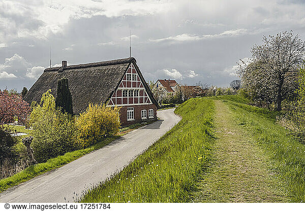 Germany  Altes Land  Half timbered house by road in spring