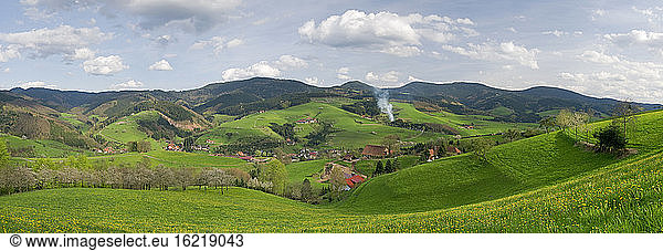 Germany  Baden-Württemberg  Oberharmersbach  hilly landscape