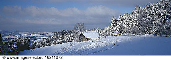 Germany  Baden-Württemberg  Schwarzwald  Breitnau  snowscape