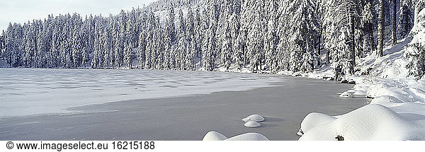 Germany  Baden-Württemberg  Schwarzwald  Mummelsee  Frozen Lake and powder snow