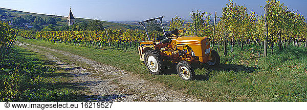 Germany  Baden-Württemberg  Schwarzwald  Tractor in vineyard