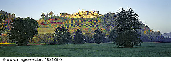 Germany  Baden-Württemberg  Sexau  Hochburg  Castle ruin