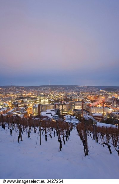 Germany  Baden Württemberg  Stuttgart  Snow covered vineyard terraces