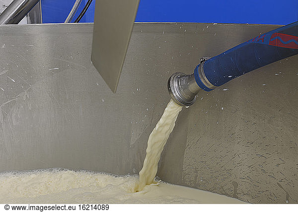 Germany  Baden Wuerttemberg  Milk flows into tank