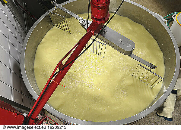 Germany  Baden Wuerttemberg  Production of cheese with cheese harp