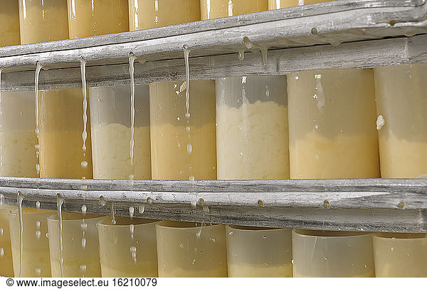Germany  Baden Wuerttemberg  Raw cheese in bottles  close up