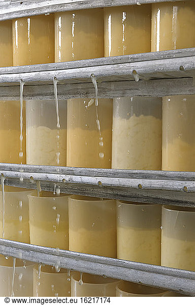 Germany  Baden Wuerttemberg  Raw cheese in bottles  close up