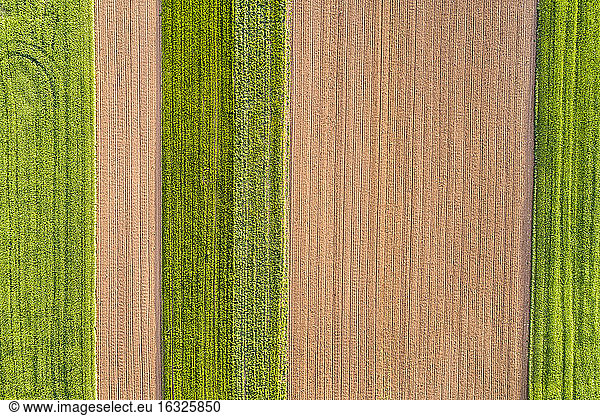 Germany  Baden-Wuerttemberg  Rems-Murr-Kreis  Winterbach  fields  plowed field