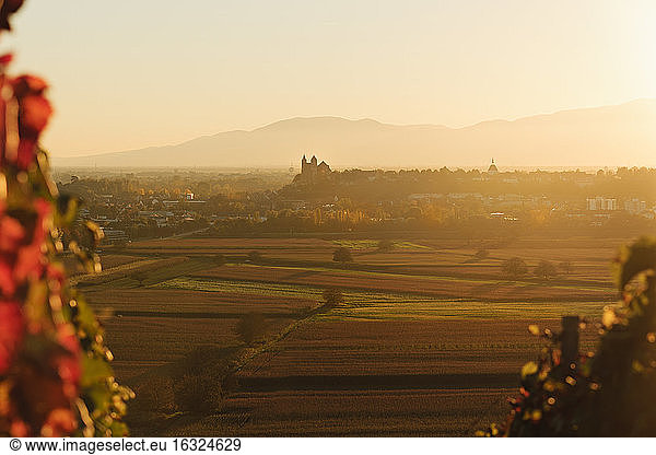 Germany  Baden-Wuerttemberg  view to Breisach with minster at haze