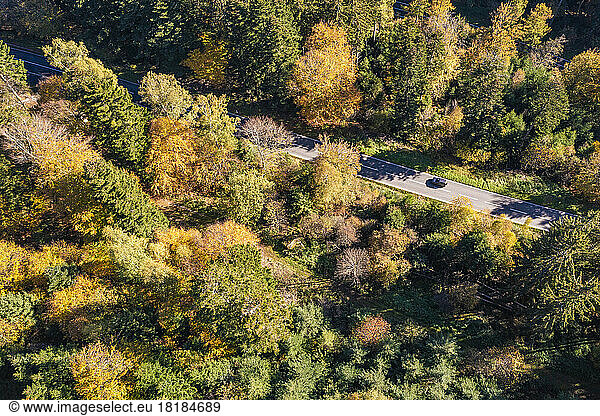 Germany  Baden-Wurttemberg  Aerial view of asphalt road cutting through autumn woodland of Black Forest