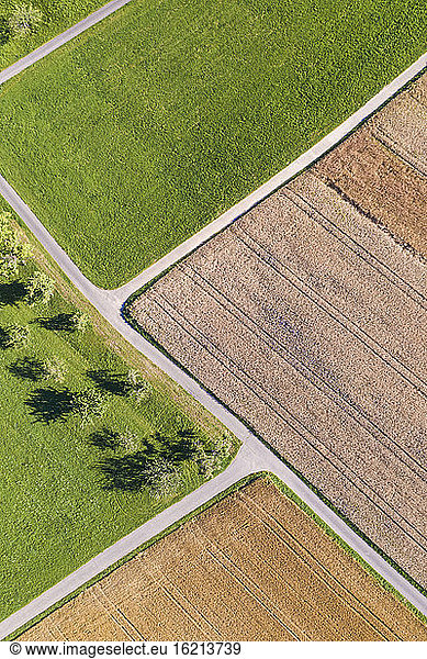 Germany  Baden-Wurttemberg  Aerial view of summer fields in Swabian Alps