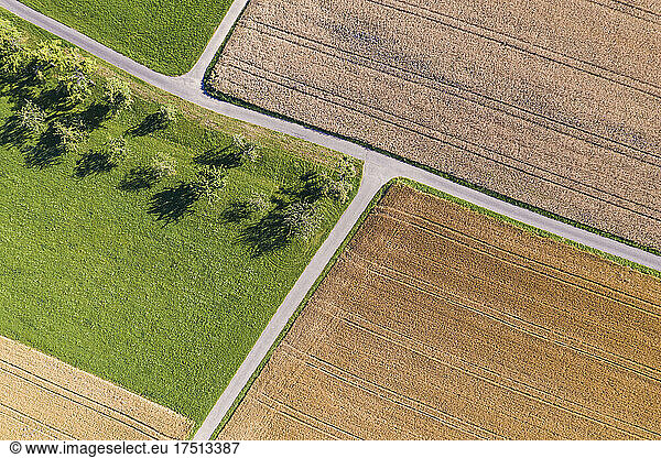 Germany  Baden-Wurttemberg  Aerial view of summer fields in Swabian Alps
