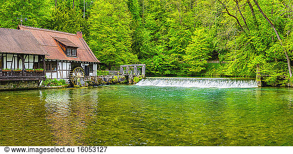 Germany  Baden-Wurttemberg  Blaubeuren  Rustic house on forest riverbank in spring