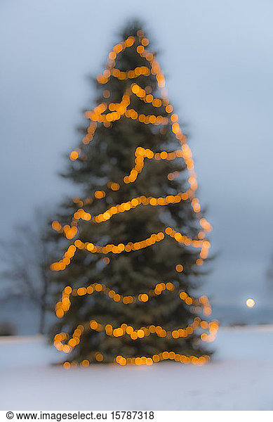 Germany  Baden-Wurttemberg  Bodman-Ludwigshafen  Christmas tree glowing in snow