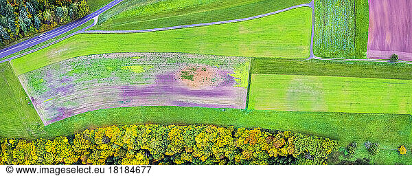 Germany  Baden-Wurttemberg  Drone view of agricultural farmland in Swabian-Franconian Forest