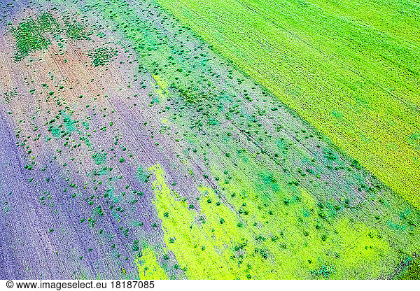 Germany  Baden-Wurttemberg  Drone view of agricultural farmland in Swabian-Franconian Forest