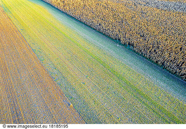 Germany  Baden-Wurttemberg  Drone view of autumn field in Swabian Alb