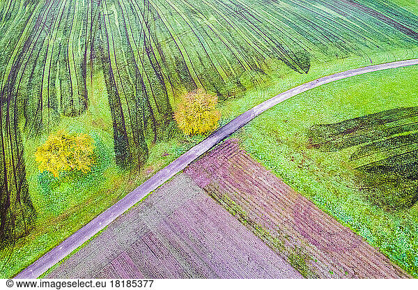 Germany  Baden-Wurttemberg  Drone view of autumn fields in Swabian-Franconian Forest