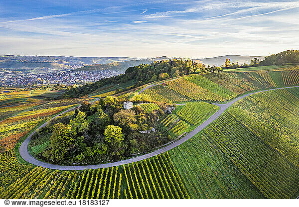 Germany  Baden-Wurttemberg  Drone view of autumn vineyards in Remstal