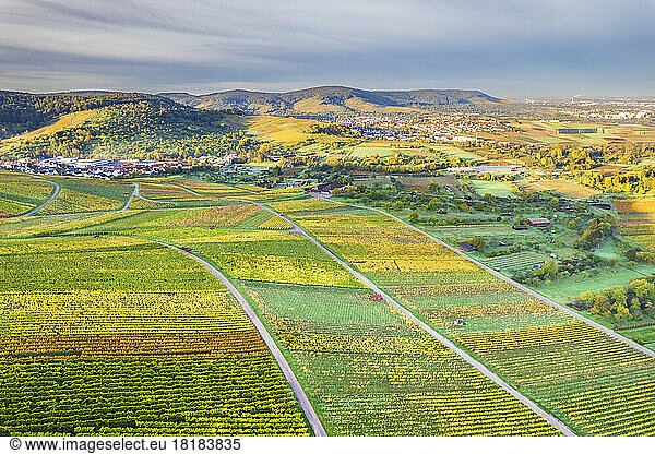Germany  Baden-Wurttemberg  Drone view of autumn vineyards in Remstal