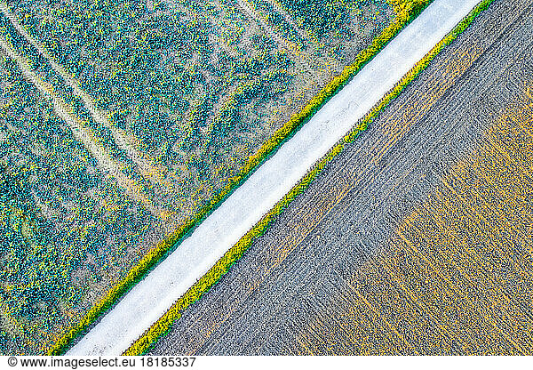 Germany  Baden-Wurttemberg  Drone view of country road stretching between autumn fields