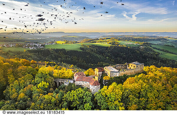 Germany  Baden-Wurttemberg  Drone view of flock of birds flying over ruined Hohenrechberg Castle at autumn dusk