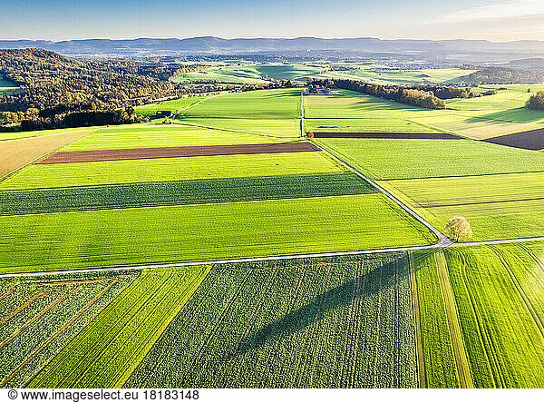 Germany  Baden-Wurttemberg  Drone view of green autumn fields in Swabian Alb