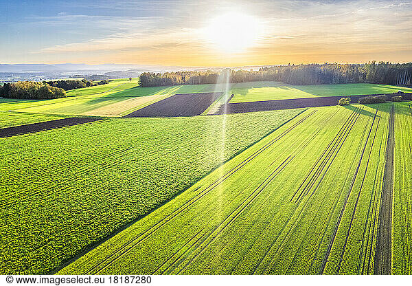 Germany  Baden-Wurttemberg  Drone view of green autumn fields in Swabian Alb at sunset