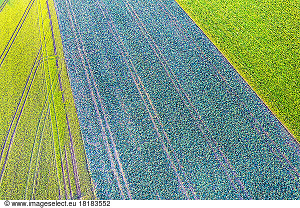 Germany  Baden-Wurttemberg  Drone view of green field in Swabian Alb