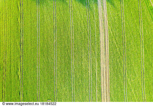 Germany  Baden-Wurttemberg  Drone view of green field in Swabian Alb