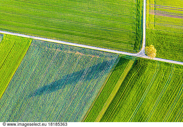 Germany  Baden-Wurttemberg  Drone view of green fields in Swabian Alb