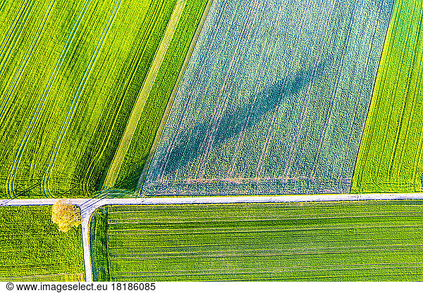 Germany  Baden-Wurttemberg  Drone view of green fields in Swabian Alb