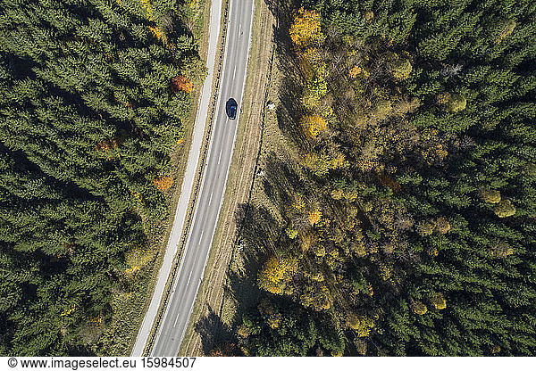 Germany  Baden-Wurttemberg  Drone view of highway cutting through autumn forest in Swabian Alps