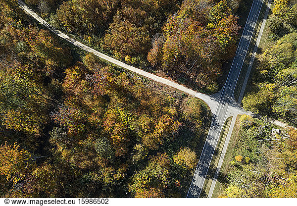 Germany  Baden-Wurttemberg  Drone view of road intersection in middle of autumn forest