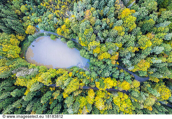 Germany  Baden-Wurttemberg  Drone view of small lake in Swabian-Franconian Forest