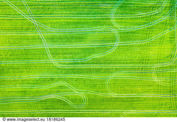 Germany  Baden-Wurttemberg  Drone view of tire tracks on green field